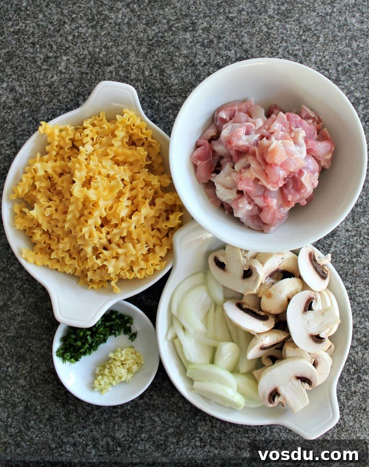 Creamy Chicken Stroganoff, preparing ingredients Creamy Chicken Stroganoff, preparing ingredients