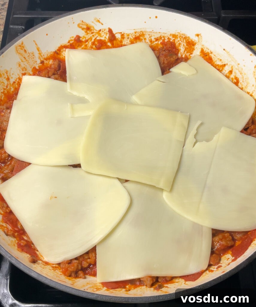 Cheesy Pizza Tater Tot Casserole Recipe for Family Meals 7 Pizza Tater Tot Casserole