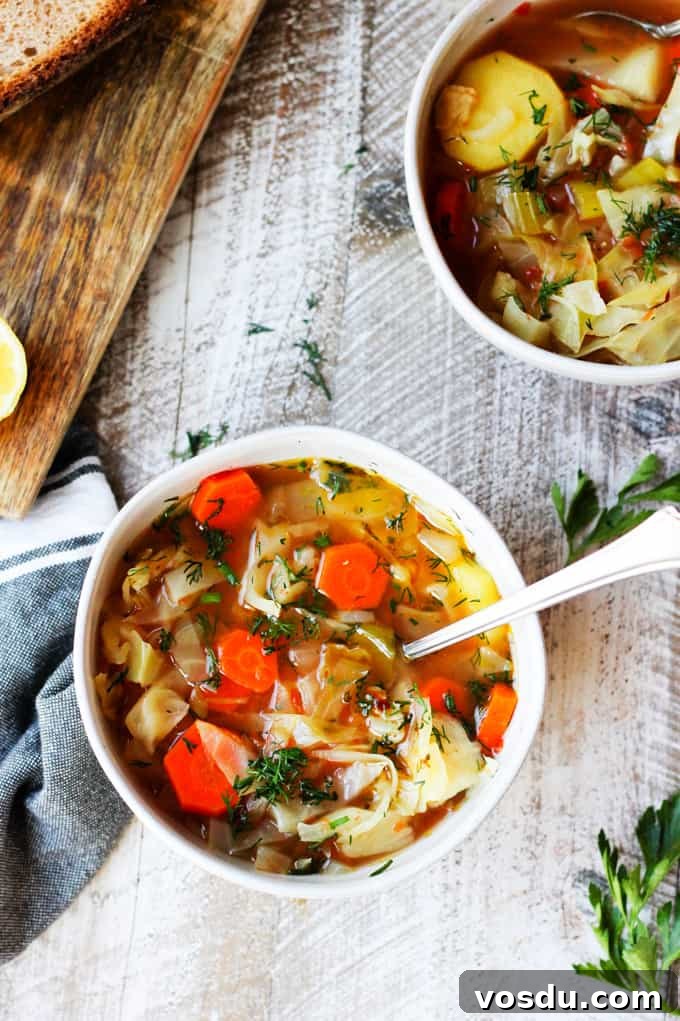 Slow Cooker Cabbage Soup - easy, vegan, gluten-free. Set it and forget it. Let your crockpot cook your dinner. 2 bowls of slow cooker cabbage soup with spoon