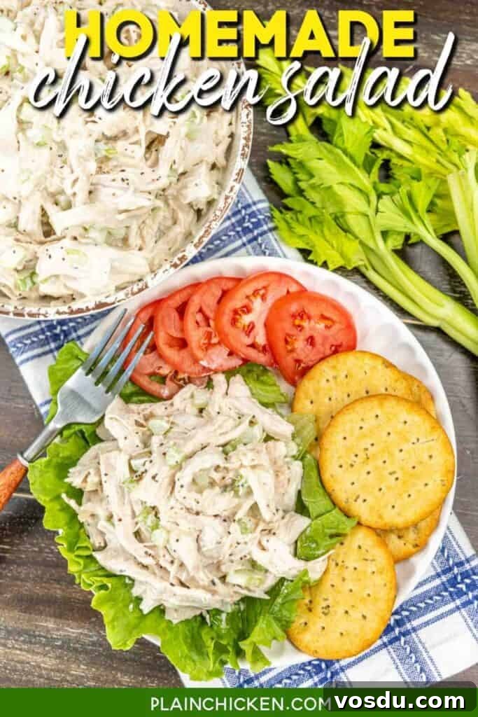 Classic Homemade Chicken Salad Recipe for Fresh Lunchs 2 plate of chicken salad with text overlay