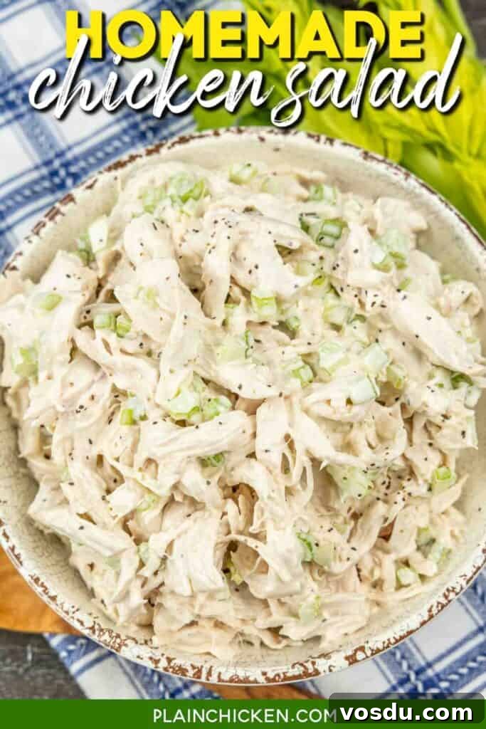 Classic Homemade Chicken Salad Recipe for Fresh Lunchs 6 bowl of chicken salad