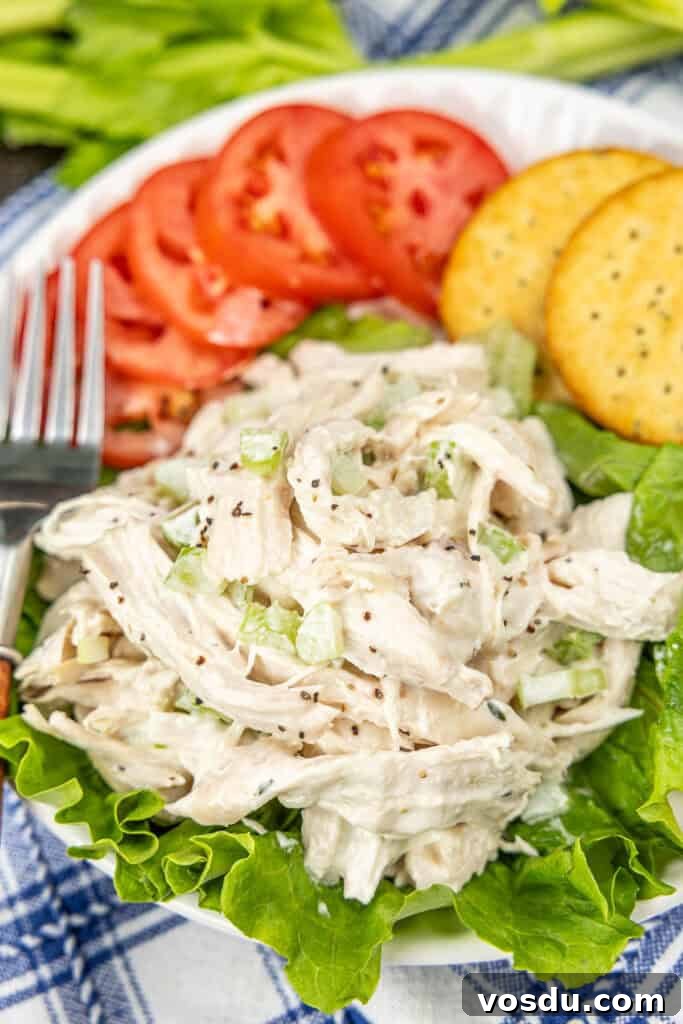 Classic Homemade Chicken Salad Recipe for Fresh Lunchs 4 plate of chicken salad