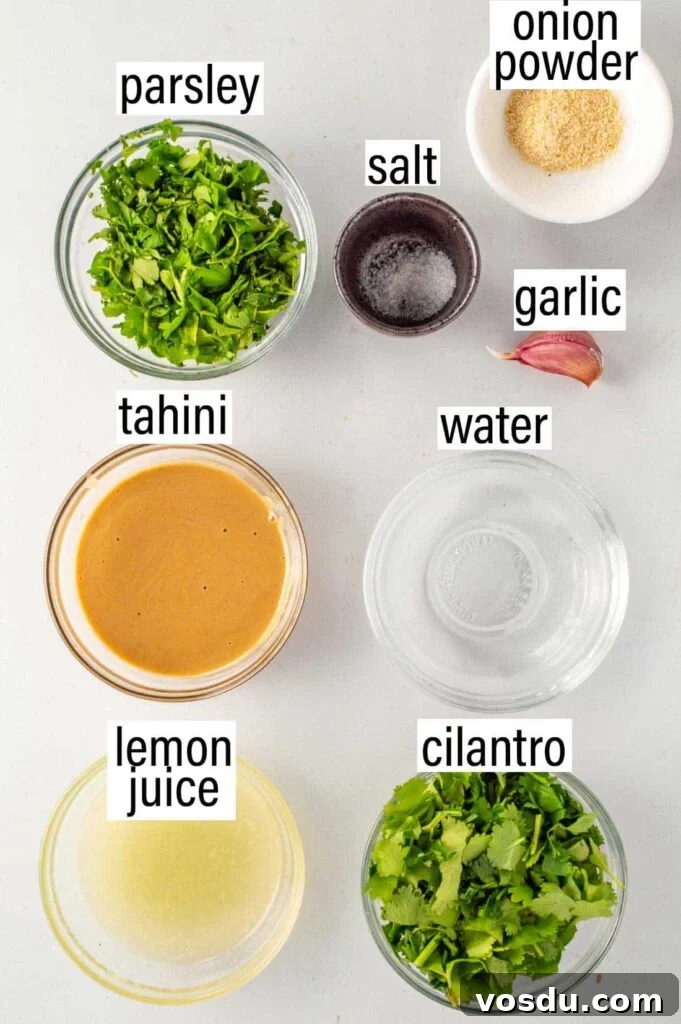Labelled ingredients including onion powder, parsley, cilantro, tahini, lemon juice etc.