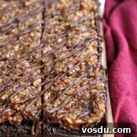 Paleo Vegan German-Style Chocolate Brownies 9 img 9600 8