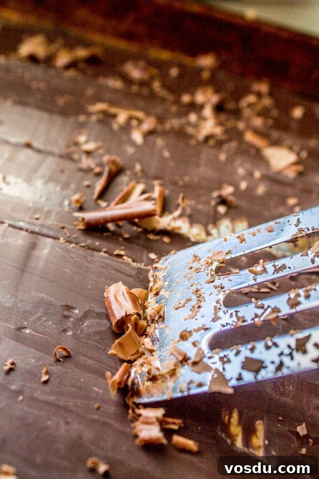 Chocolate Honey Chiffon Pie Recipe — Light, Silky Dessert 8 Chocolate Honey Chiffon Pie from The Food Charlatan