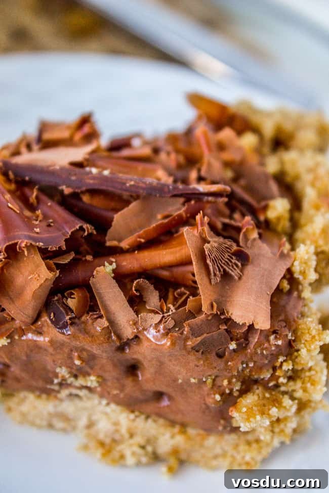 Chocolate Honey Chiffon Pie Recipe — Light, Silky Dessert 9 Chocolate Honey Chiffon Pie from The Food Charlatan