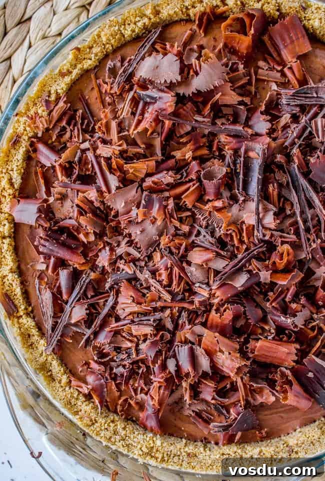 Chocolate Honey Chiffon Pie Recipe — Light, Silky Dessert 3 Chocolate Honey Chiffon Pie from The Food Charlatan