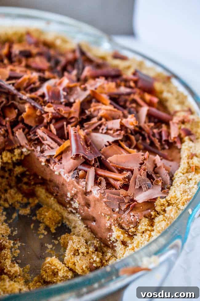Chocolate Honey Chiffon Pie Recipe — Light, Silky Dessert 5 Chocolate Honey Chiffon Pie from The Food Charlatan
