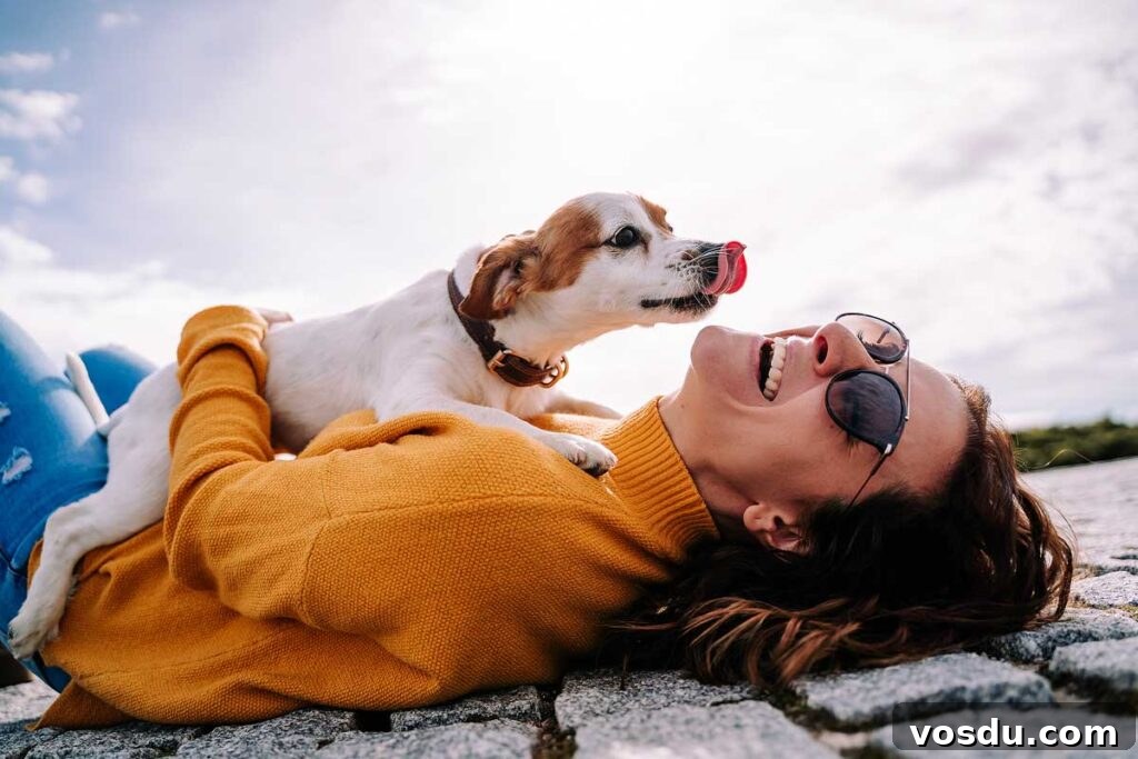 13 Reasons Dogs Are More Loyal Than Most People 11 A beautiful woman laughing while her pet is licking her face in a sunny day in the park in Madrid. The dog is on its owner between her hands. Family dog outdoor lifestyle.