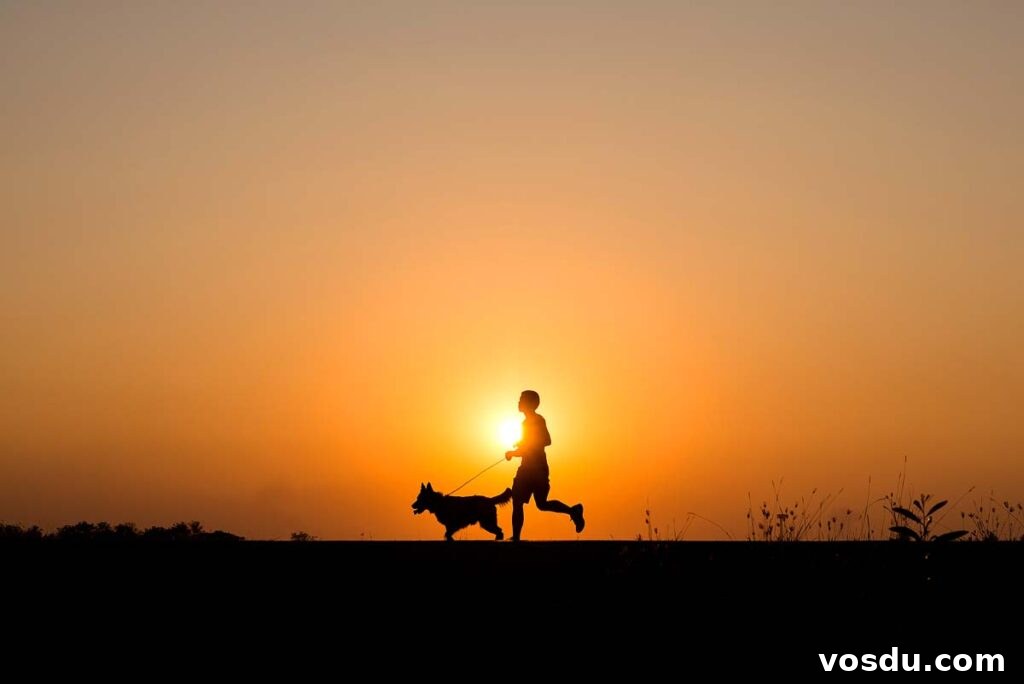 13 Reasons Dogs Are More Loyal Than Most People 3 Silhouette man and dog jogging on the background of beautiful sunset.