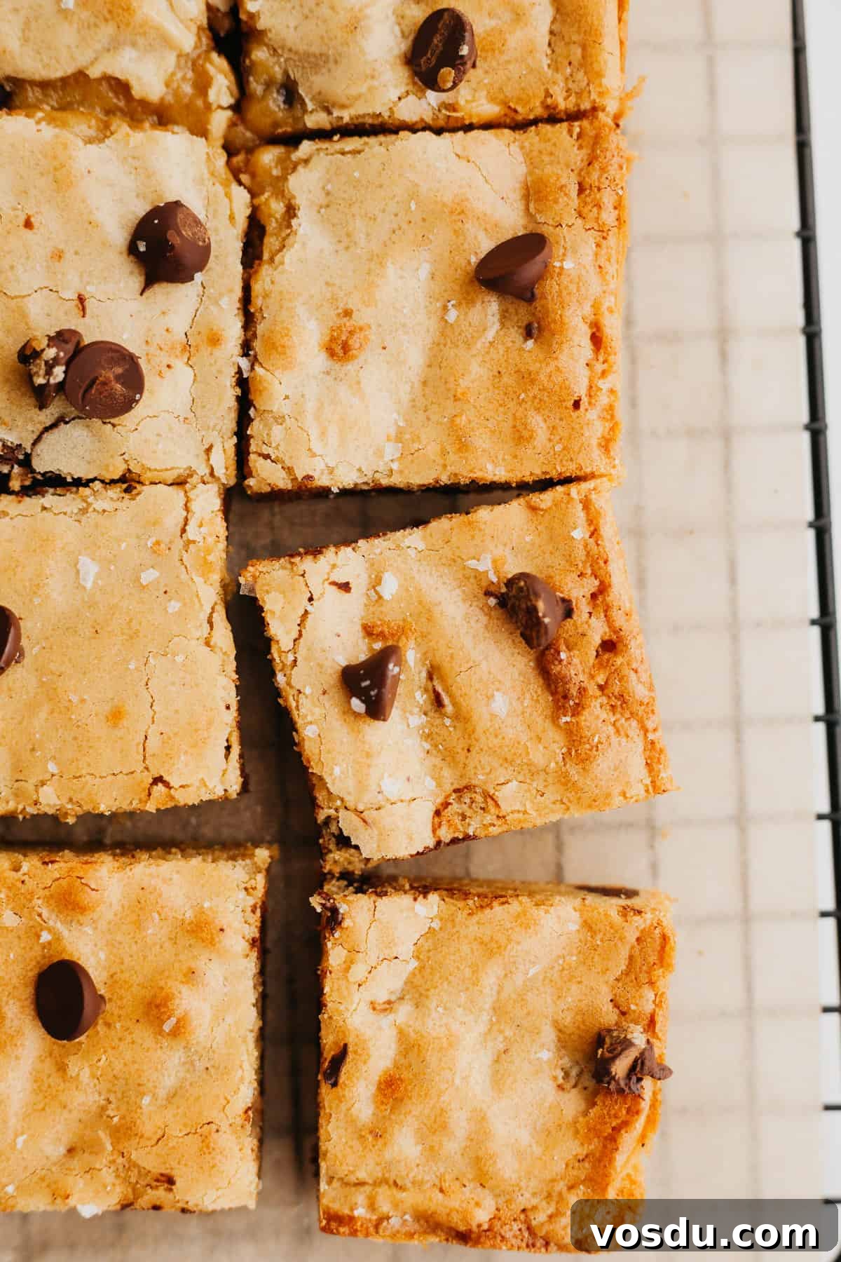 Brown Butter Blondies Made in One Bowl 6 An overhead shot of sliced blondies with chocolate chips on parchment paper.