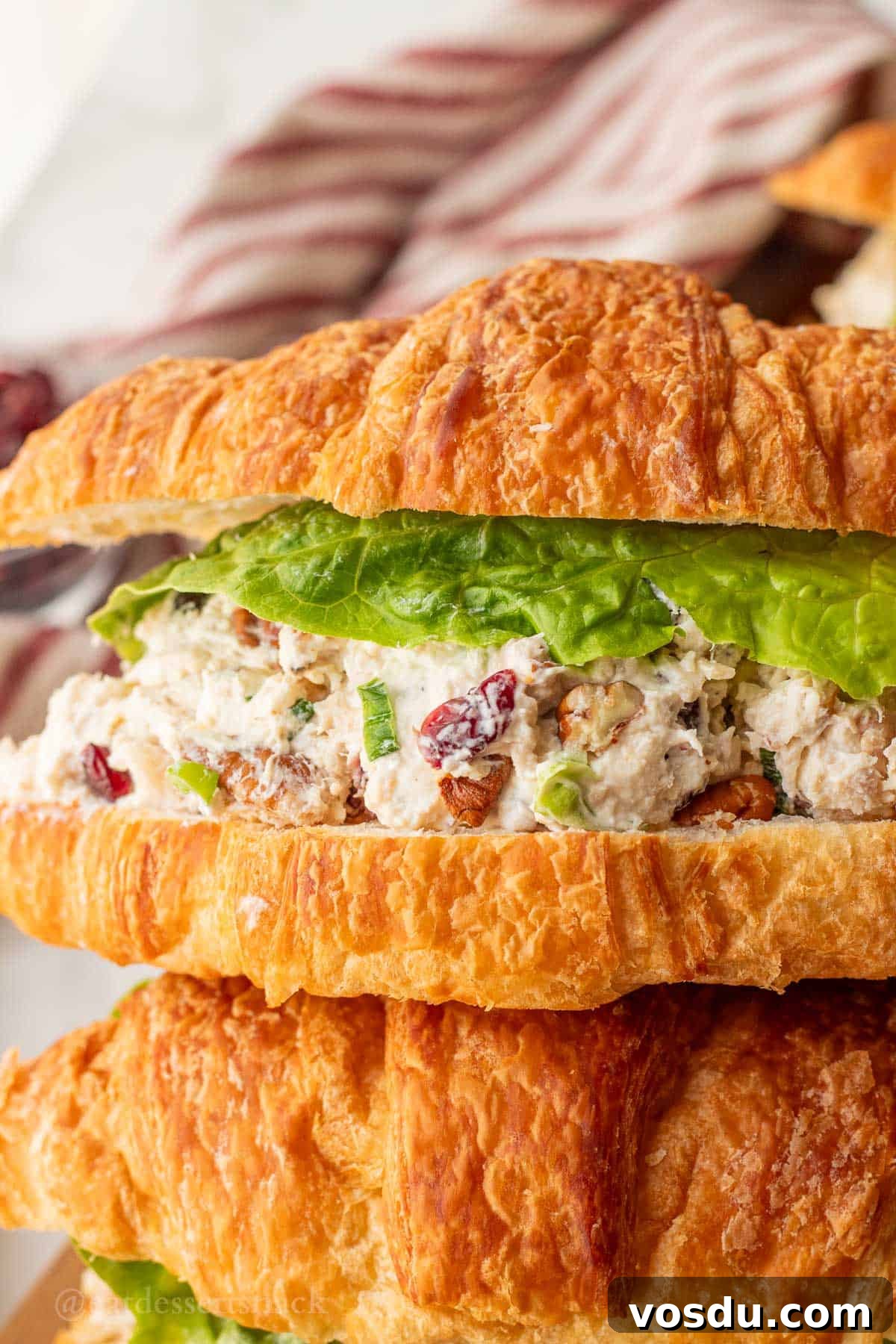 Cranberry Chicken Salad with Toasted Pecans and Citrus Vinaigrette 2 Assembled cranberry chicken pecan salad on croissant.