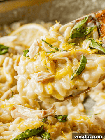 Wooden spoon of cooked orzo pasta with finished creamy lemon sauce.