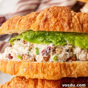 Cranberry Chicken Salad with Toasted Pecans and Citrus Vinaigrette 13 Assembled cranberry chicken pecan salad on croissant.