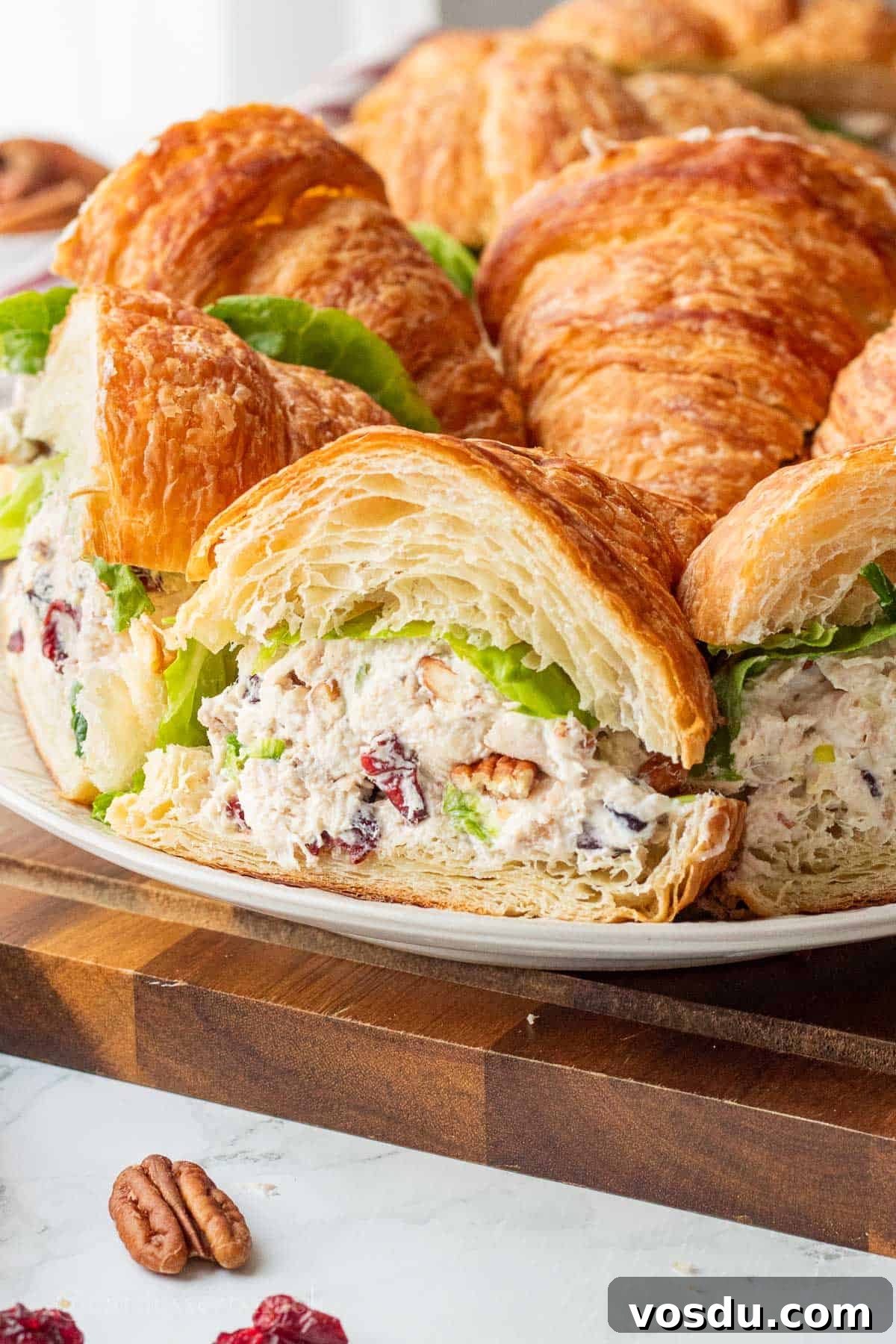 Cranberry Chicken Salad with Toasted Pecans and Citrus Vinaigrette 8 Assembled cranberry chicken pecan salad on croissants sliced.
