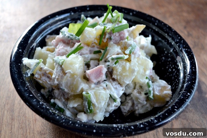 Sour Cream and Chive Potato Salad from www.ApronFreeCooking.com