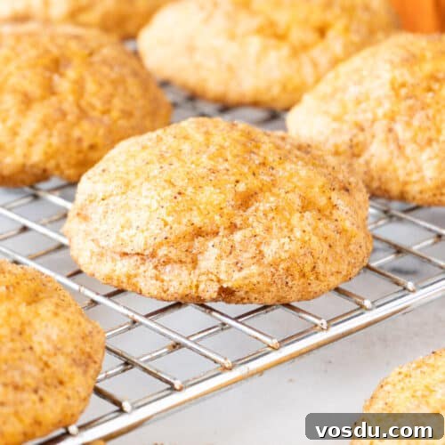 fall cookies featured image