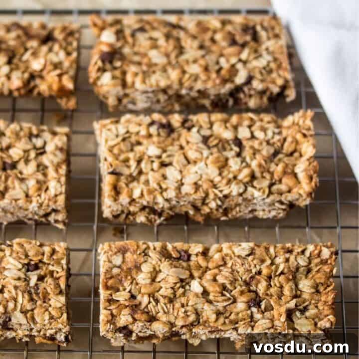 Gluten Free Chocolate Chip Oat Granola Bars