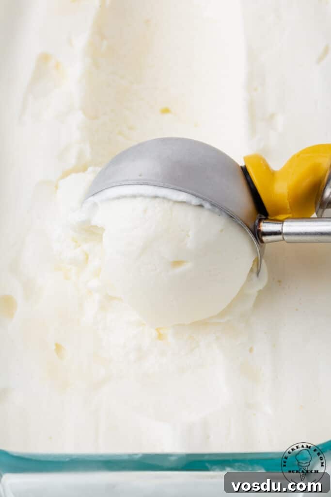 a vintage style metal ice cream scoop, scooping into creamy white, sweet cream ice cream.