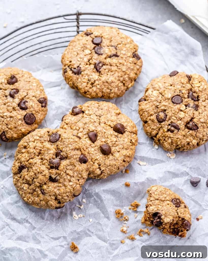 top view close up image of oatmeal chocolate chip cookies 