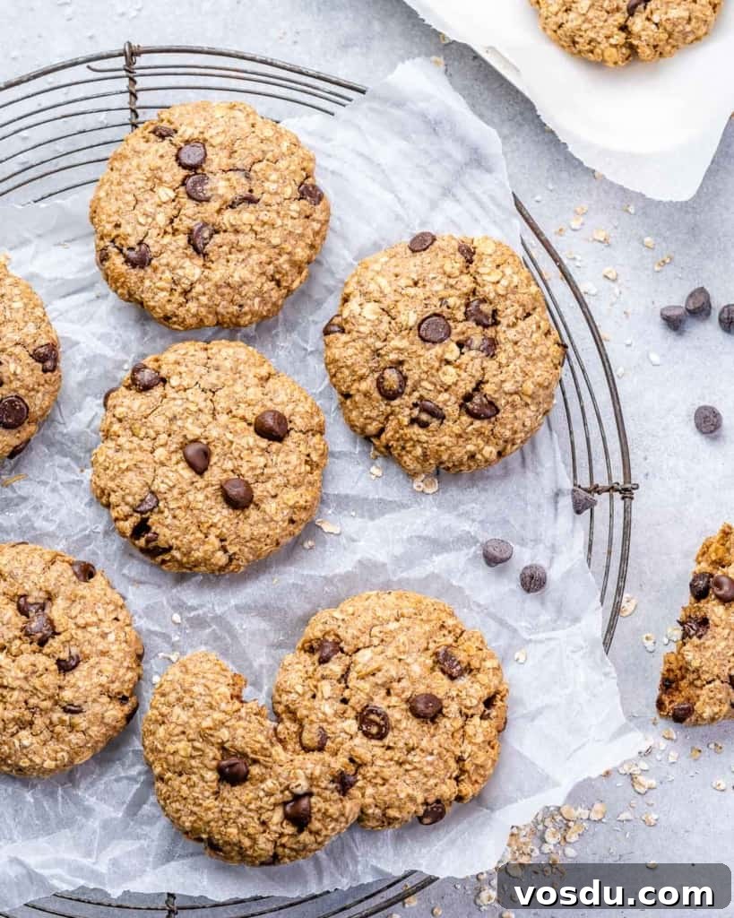 top view oatmeal cookies 