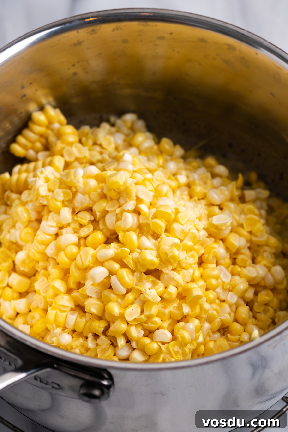 Fresh corn in pot