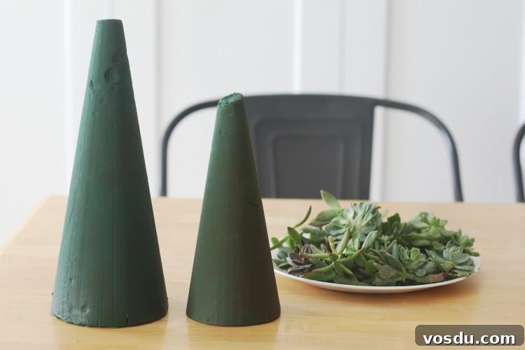 two floral foam wet cones