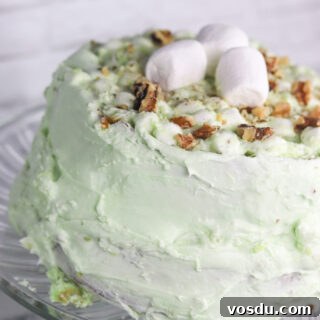 Pineapple Pistachio Marshmallow Cream Cake