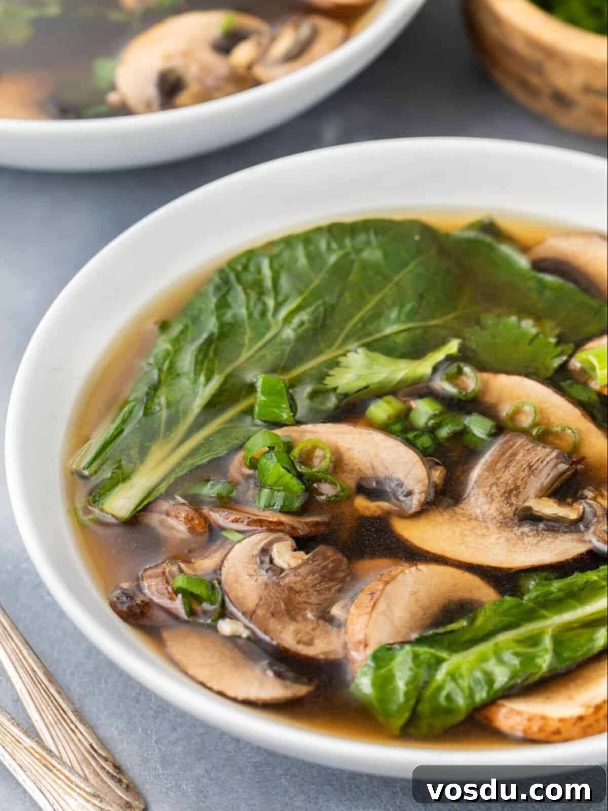 Chinese Vegetable Soup